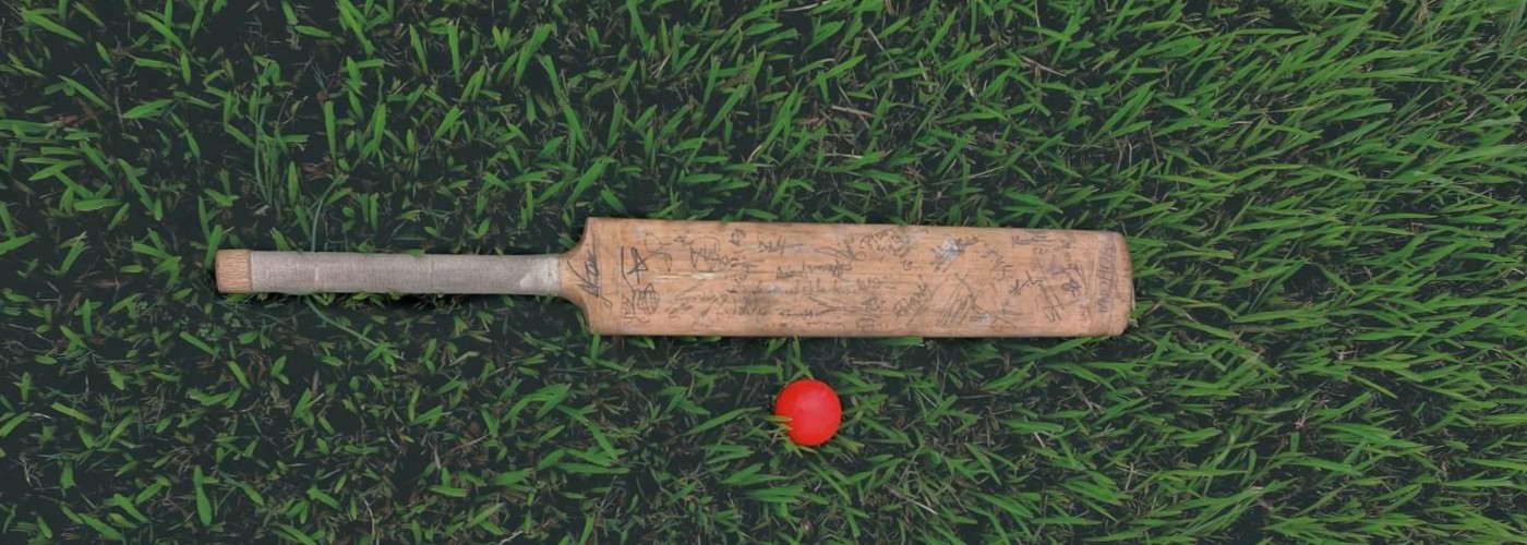 English willow cricket bat